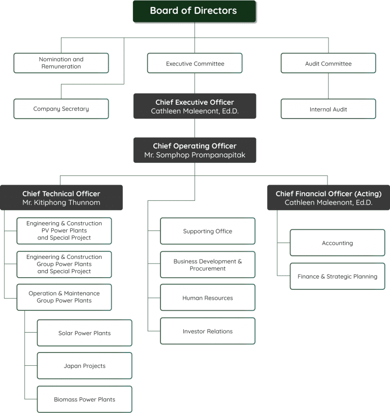 Organization Chart Thai Solar Energy Company Limited organization-chart-thai-solar-energy-company-limited