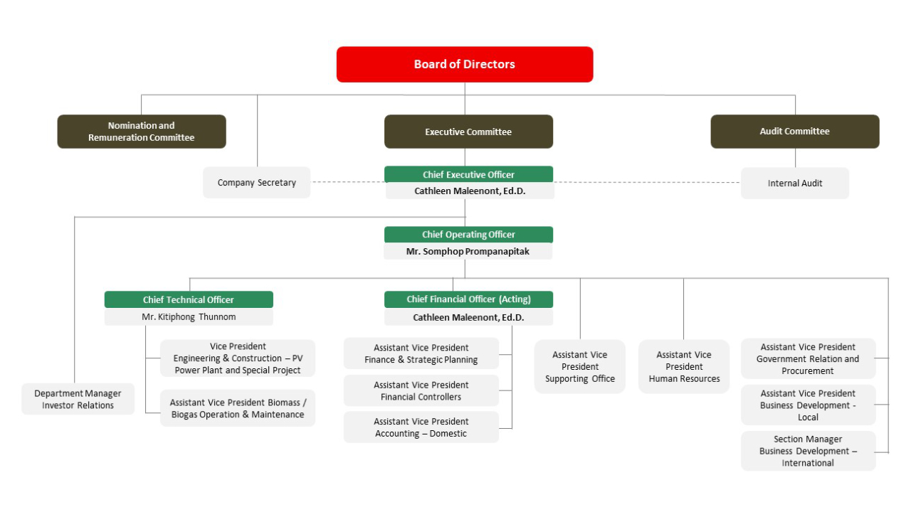 organization chart Thai Solar Energy Company Limited